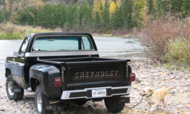 An Old Chevy Stepside and Your Best Friend At The River